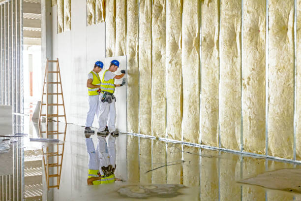 Best DIY Insulation Kits and Guidance in Georgetown, TX